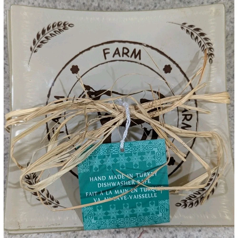 Square Glass Farm Plates Chicken Horse Cow Goose Set of 4 New Handmade In Turkey